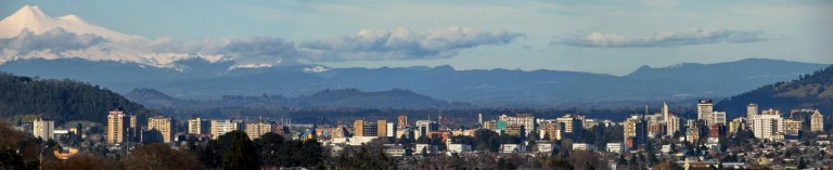 Panoramica Temuco