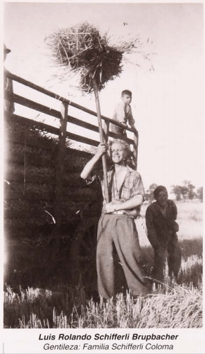 inmigrantes suizos en la araucanía