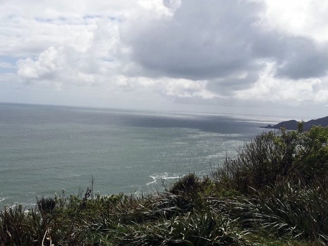 Nigue en Comuna de Toltén